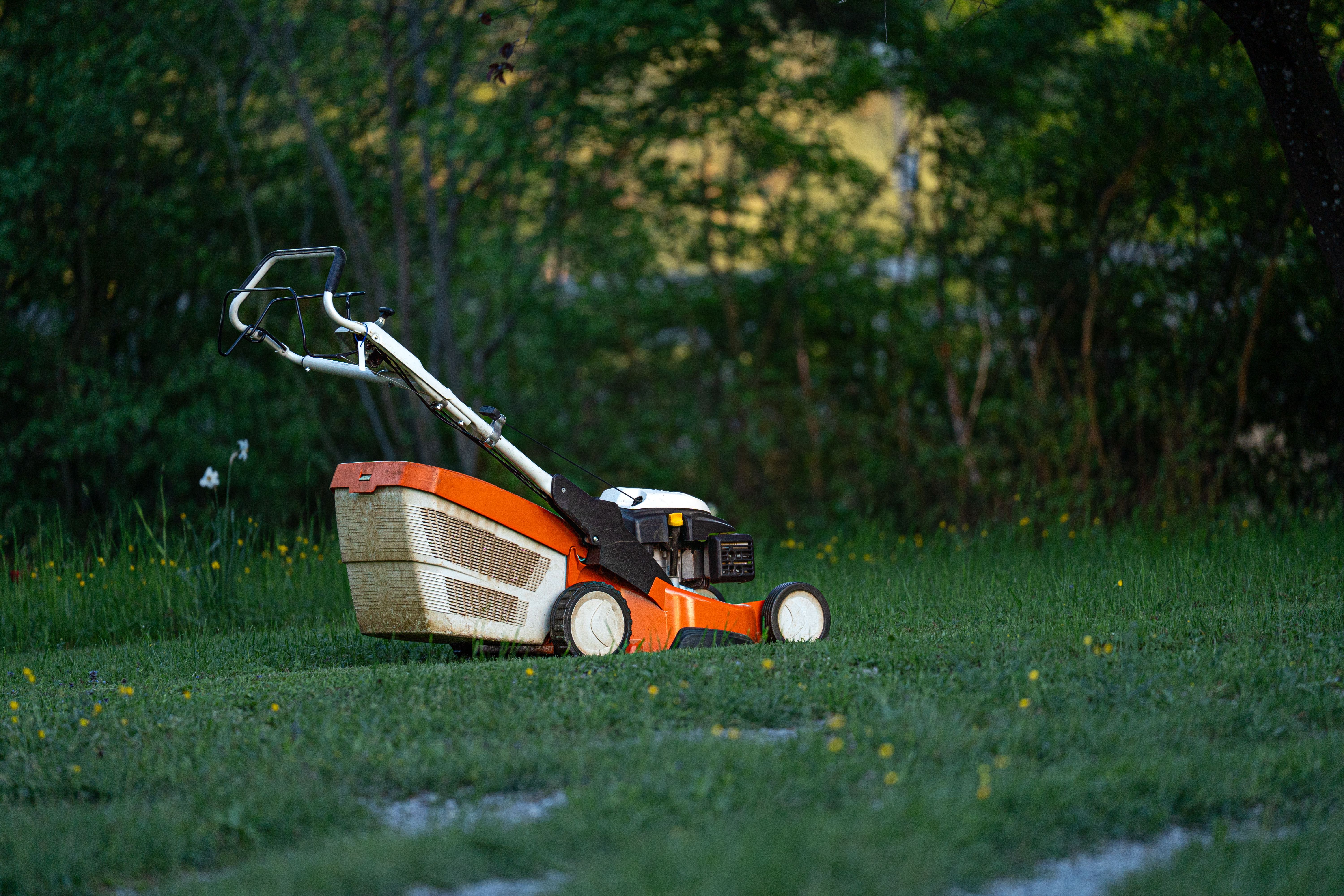 Gartenarbeit mit Freischneider vor einem Wohnhaus