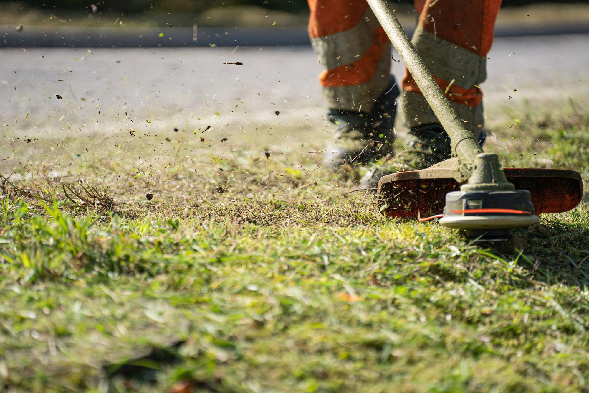Freischneider bei der Arbeit an einer Rasenkante, Grasschnitt fliegt
