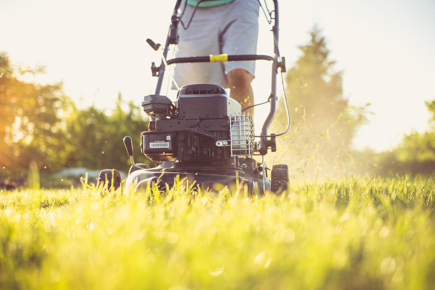 Rasenmäher im Gegenlicht auf frischem Gras